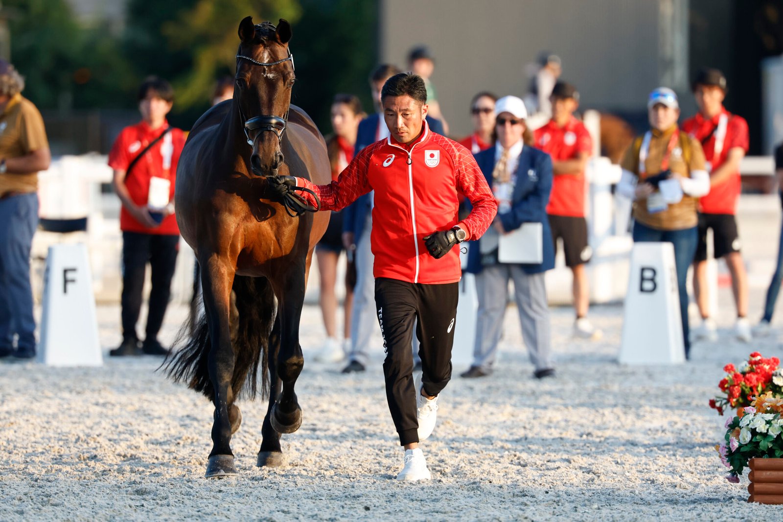 Asian Games Dressur – neues Format, neue Dimensionen