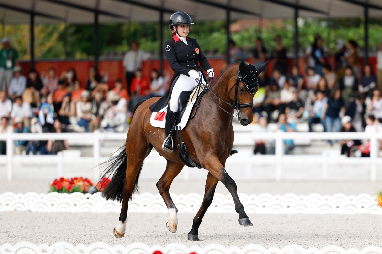 Klarer Dressur-Sieg für das Land des Lächelns im Land der aufgehenden Sonne bei den Asian Games 2026