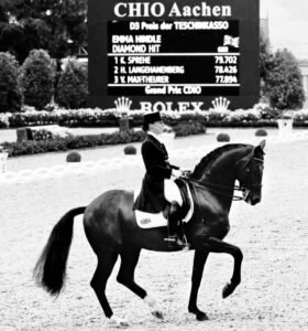 Farewell to a Great Stallion—Diamond Hit Has Passed Away