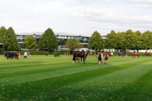 „Wie geht’s dir, Pferd?“ – der CHIO Aachen Scientist Circle will Antworten geben