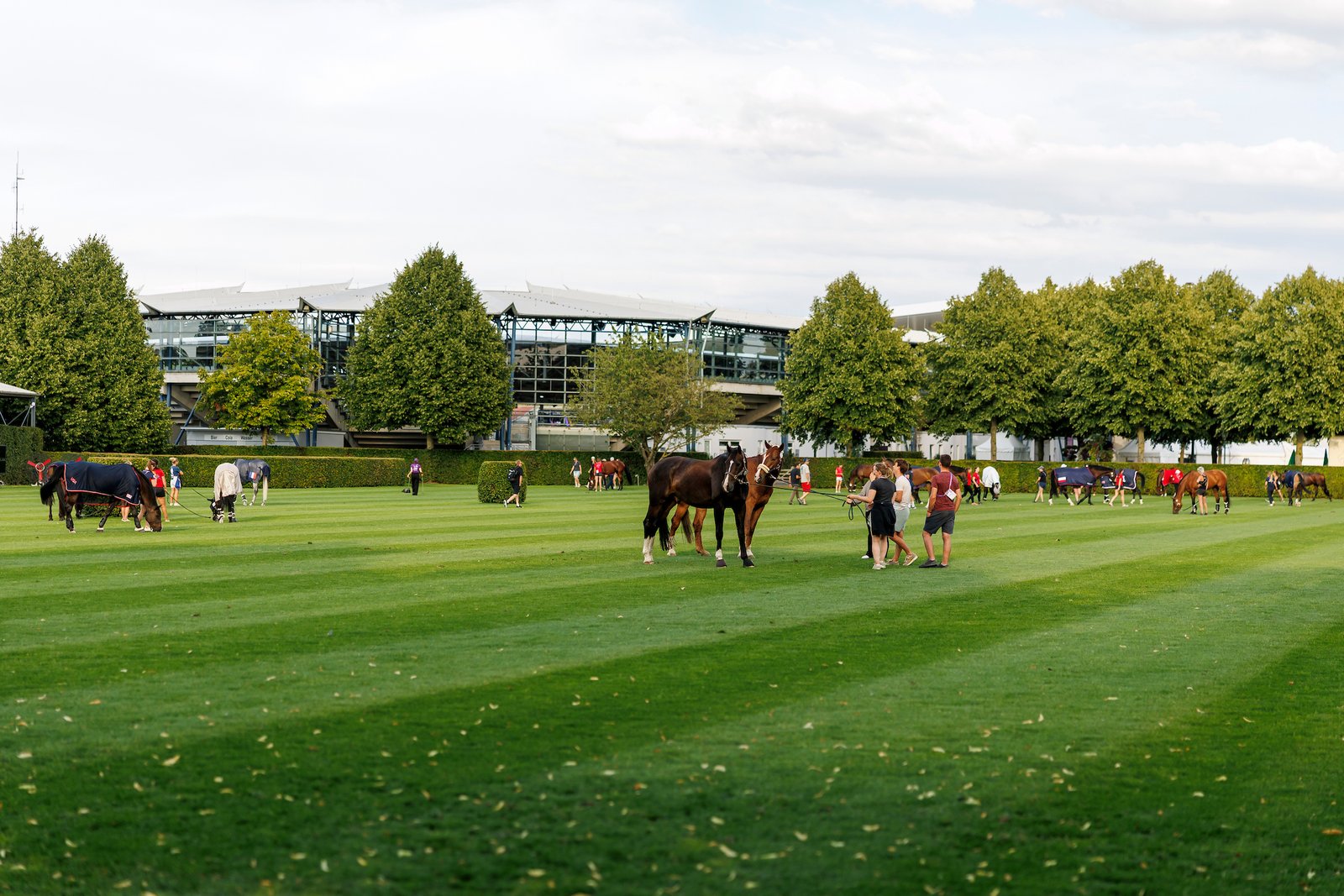 What is the state of equine welfare at equestrian events like the CHIO Aachen? That was the question that prompted the CHIO organizers to launch the Scientist Circle.
Photo: Sportfotos-lafrentz.de
