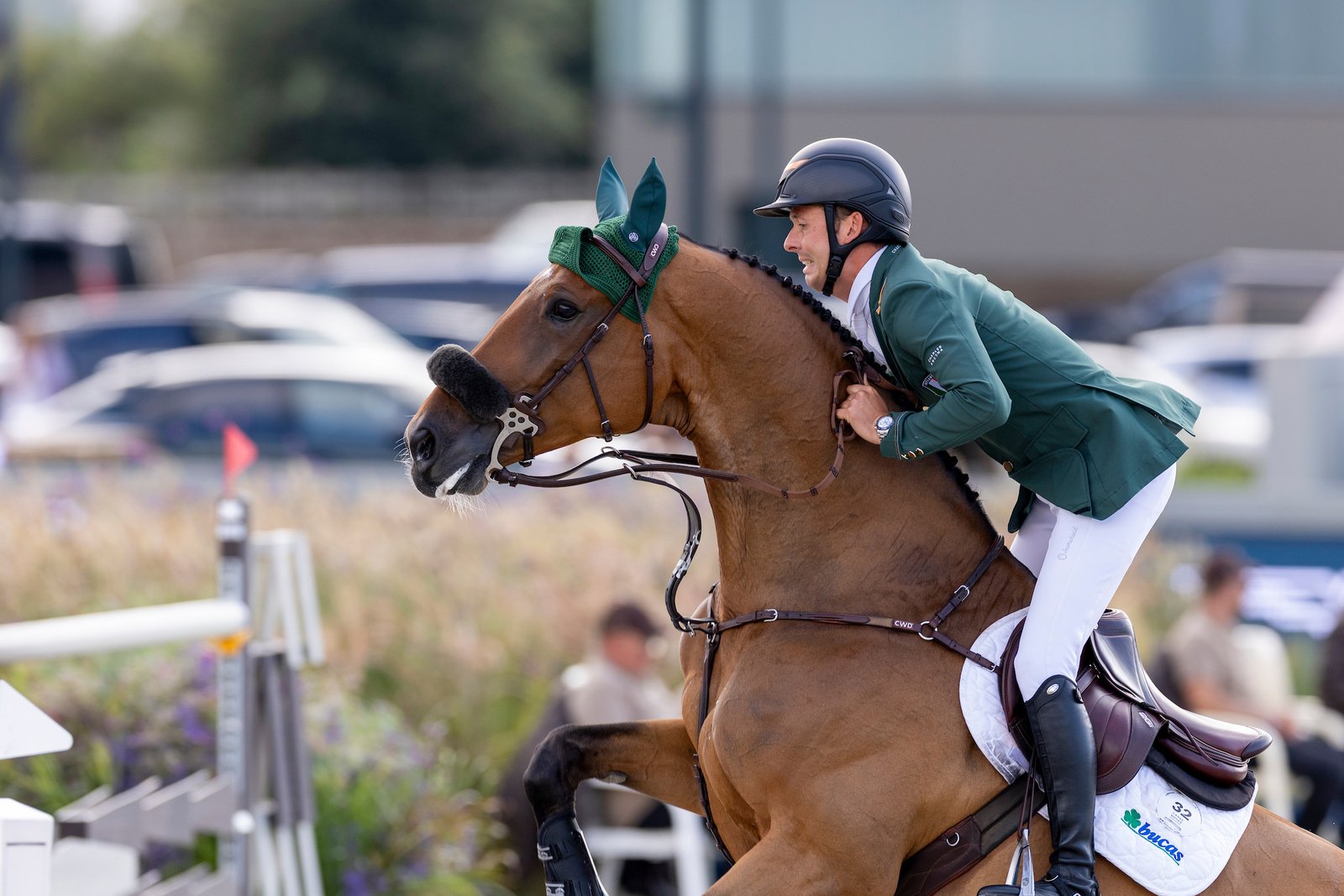 Nach Long John Silver nun Qonquest de Rigo – weiteres Championatspferd an Schweizer Talent