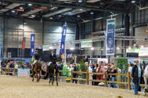 The German Horse Industry Network Invites Companies and Organizations to Get Involved