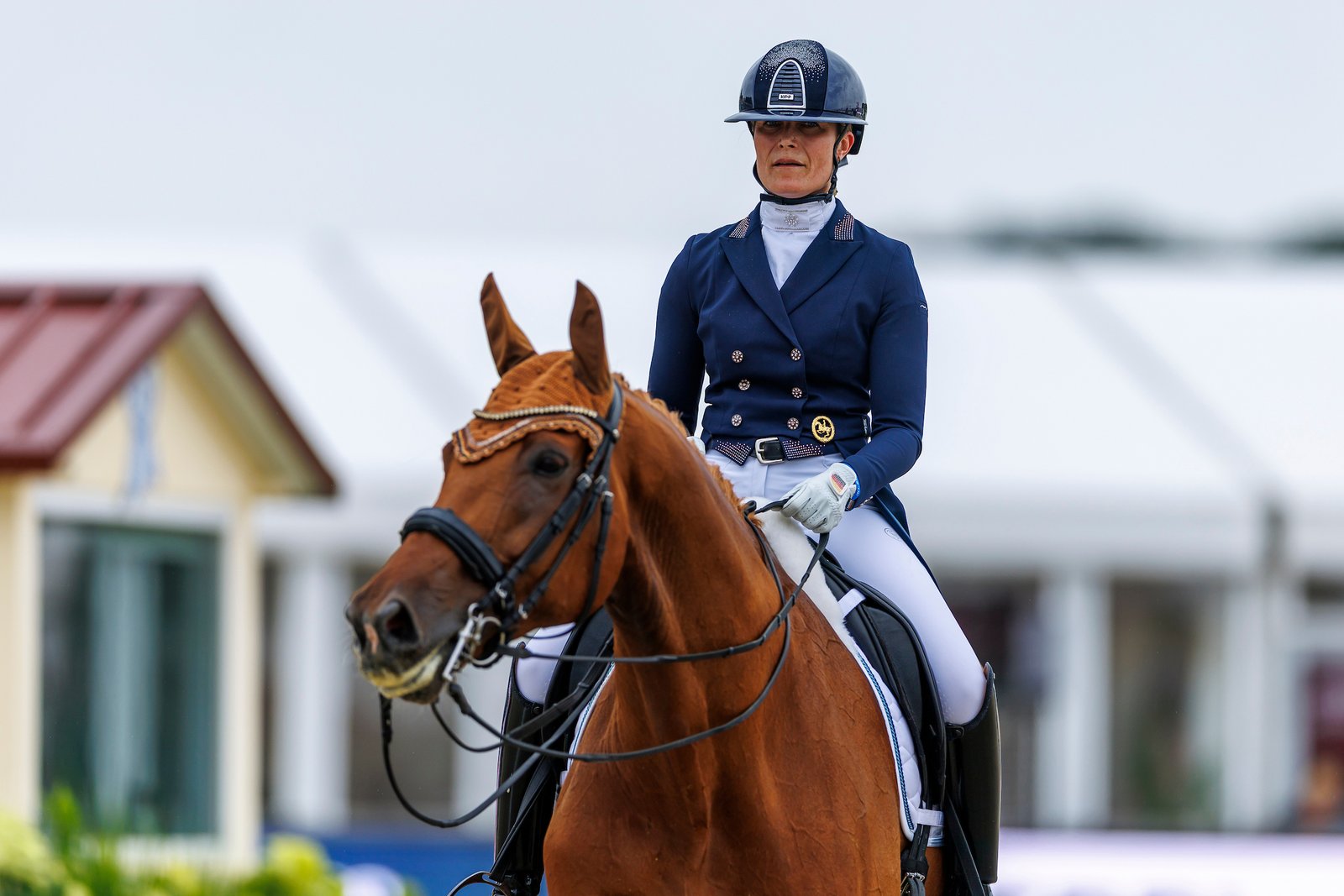 Over 75 Percent Grand Prix Victory for Harnisch at Gut Ising; Milestone for Jessica von Bredow-Werndl and Dancier Gold