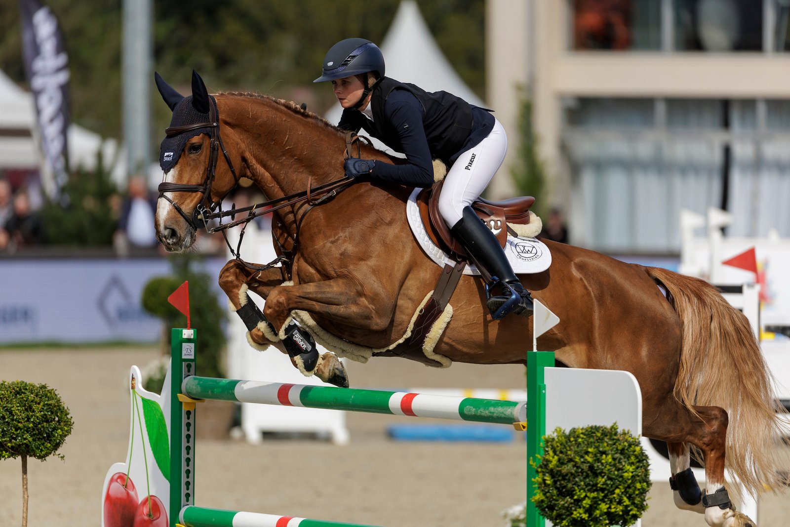 McLain Ward gewinnt CSI2* Grand Prix mit Olympiapferd, das einst unter Sophie Hinners ging