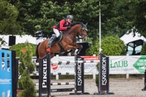 Amateure: Interview mit Axel Fromm – „Krise beim Kauf von Pferdefutter sichtbar“