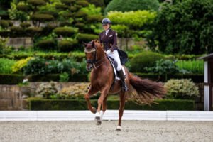 Yara Reicherts Springbank II schwer verletzt