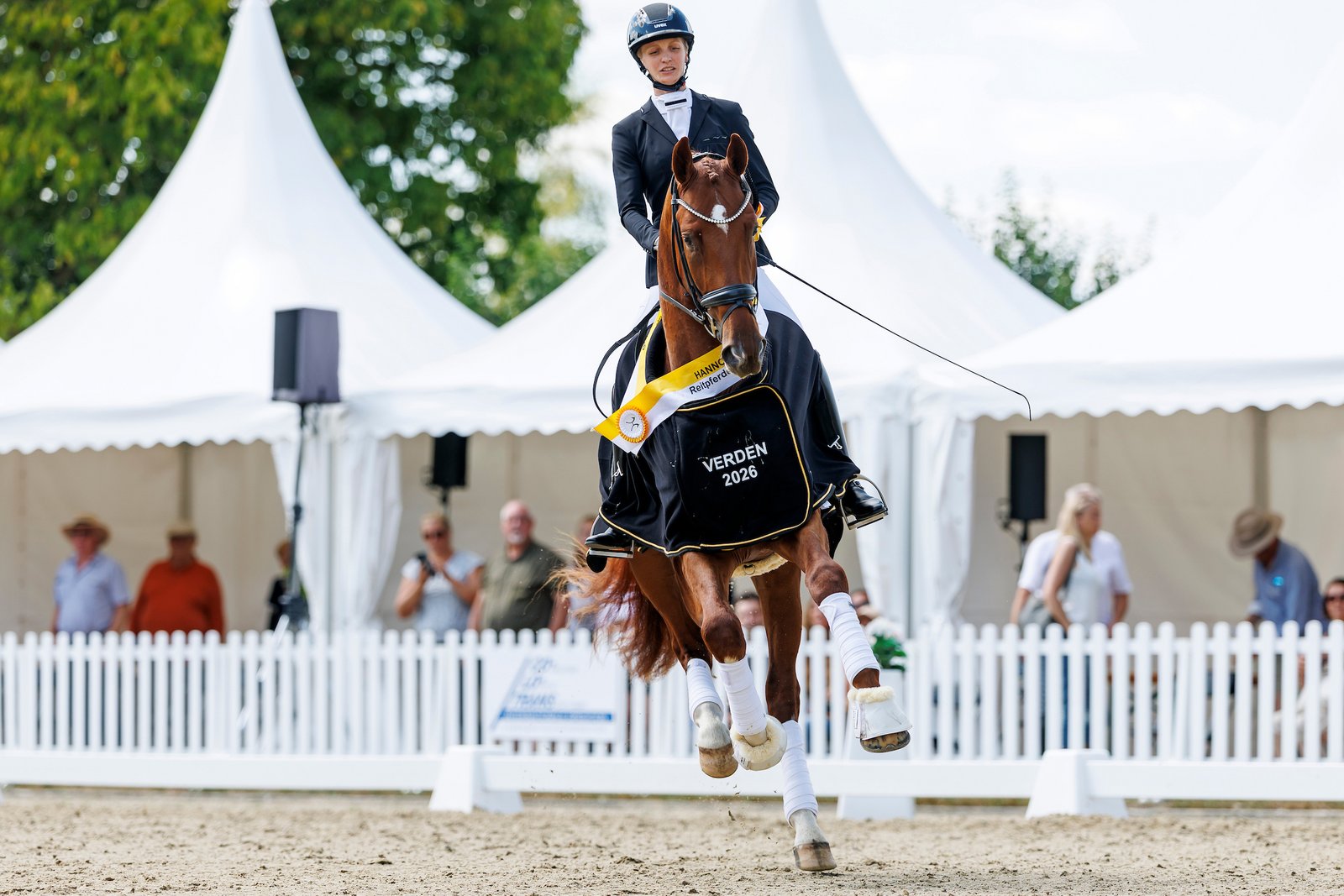 Ein Hannoveraner Champion für Charlott-Maria Schürmann