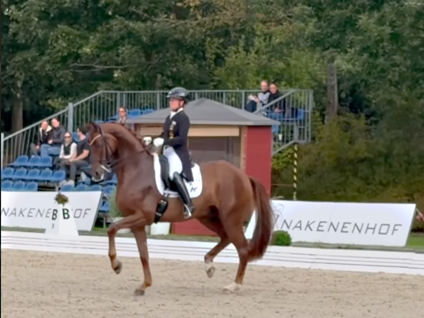 Werth and Back for Good Did Not Qualify for the Louisdor Prize