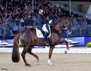 Wien: Viva Gold gewinnt mit Isabell Werth unter Flutlicht, Moritz Treffinger mit Volltreffer und Katha Hemmer mit Aha-Effekt