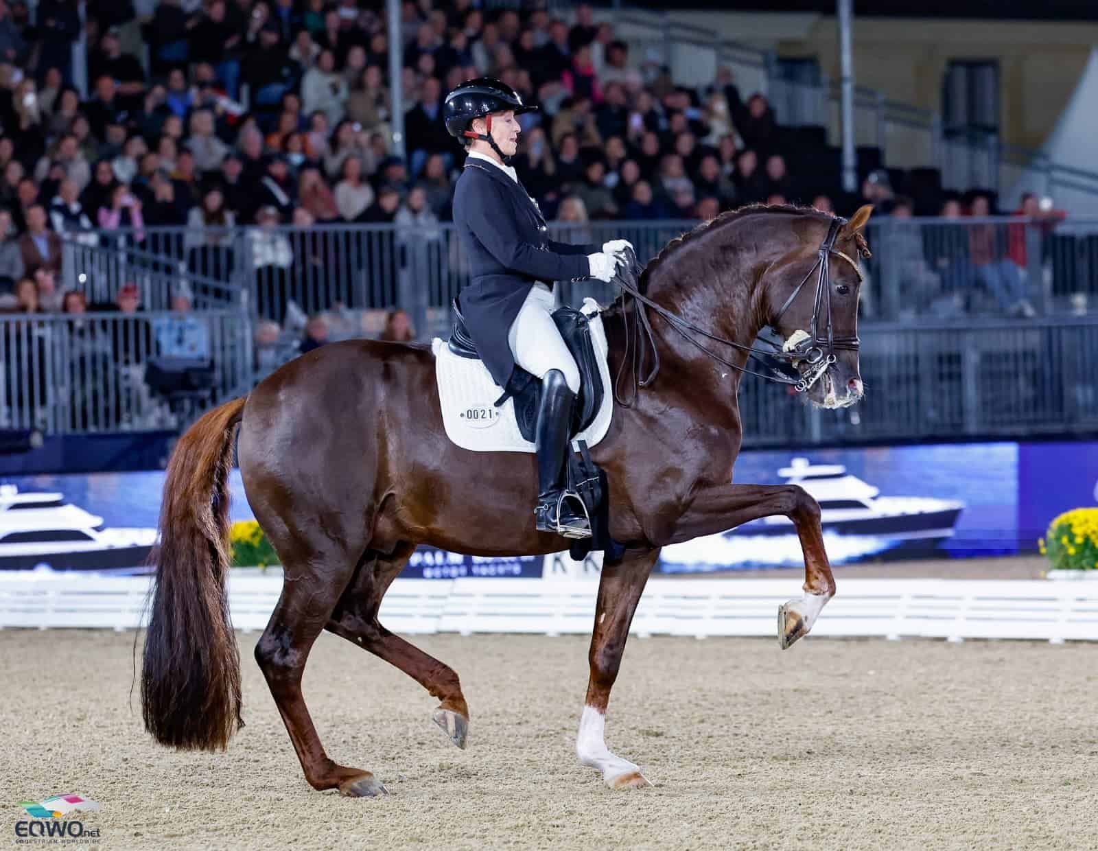 Wien: Viva Gold gewinnt mit Isabell Werth unter Flutlicht, Moritz Treffinger mit Volltreffer und Katha Hemmer mit Aha-Effekt
