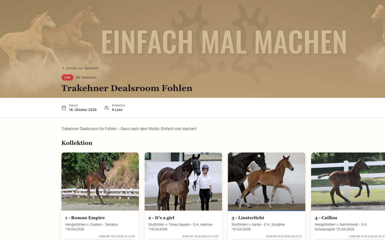 Trakehner Verband geht unter die Dealer, Fohlen werden im „Dealsroom“ gehandelt