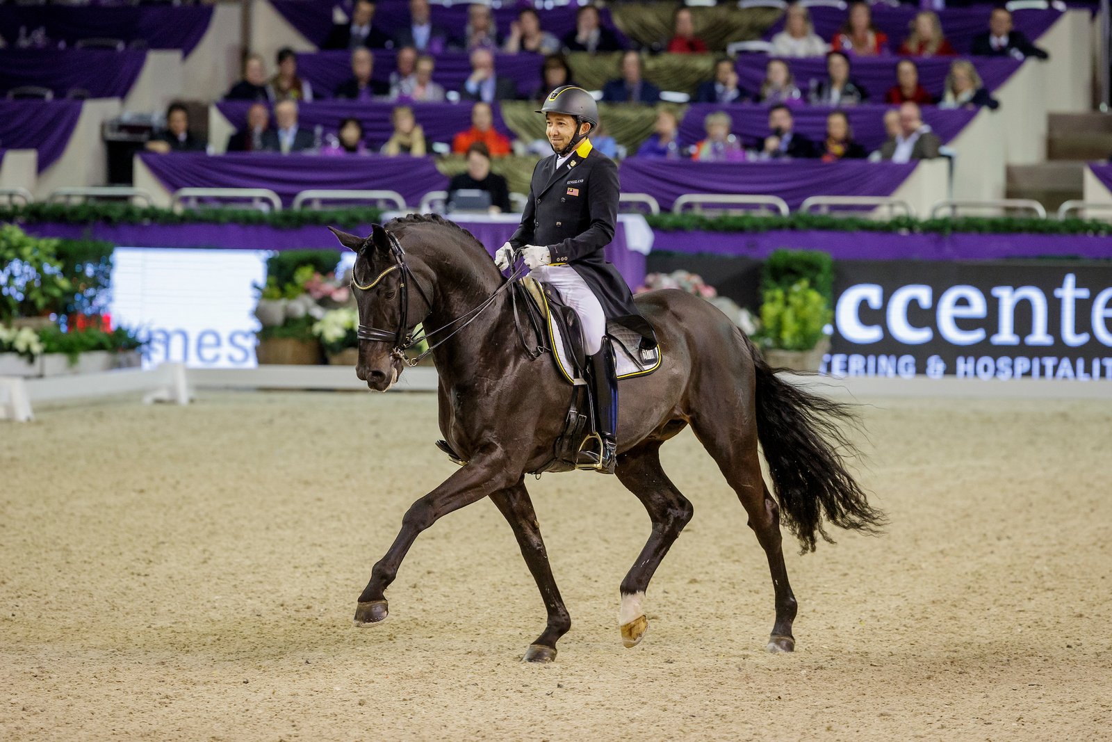 Abschied von Grand Prix-Hengst Delatio