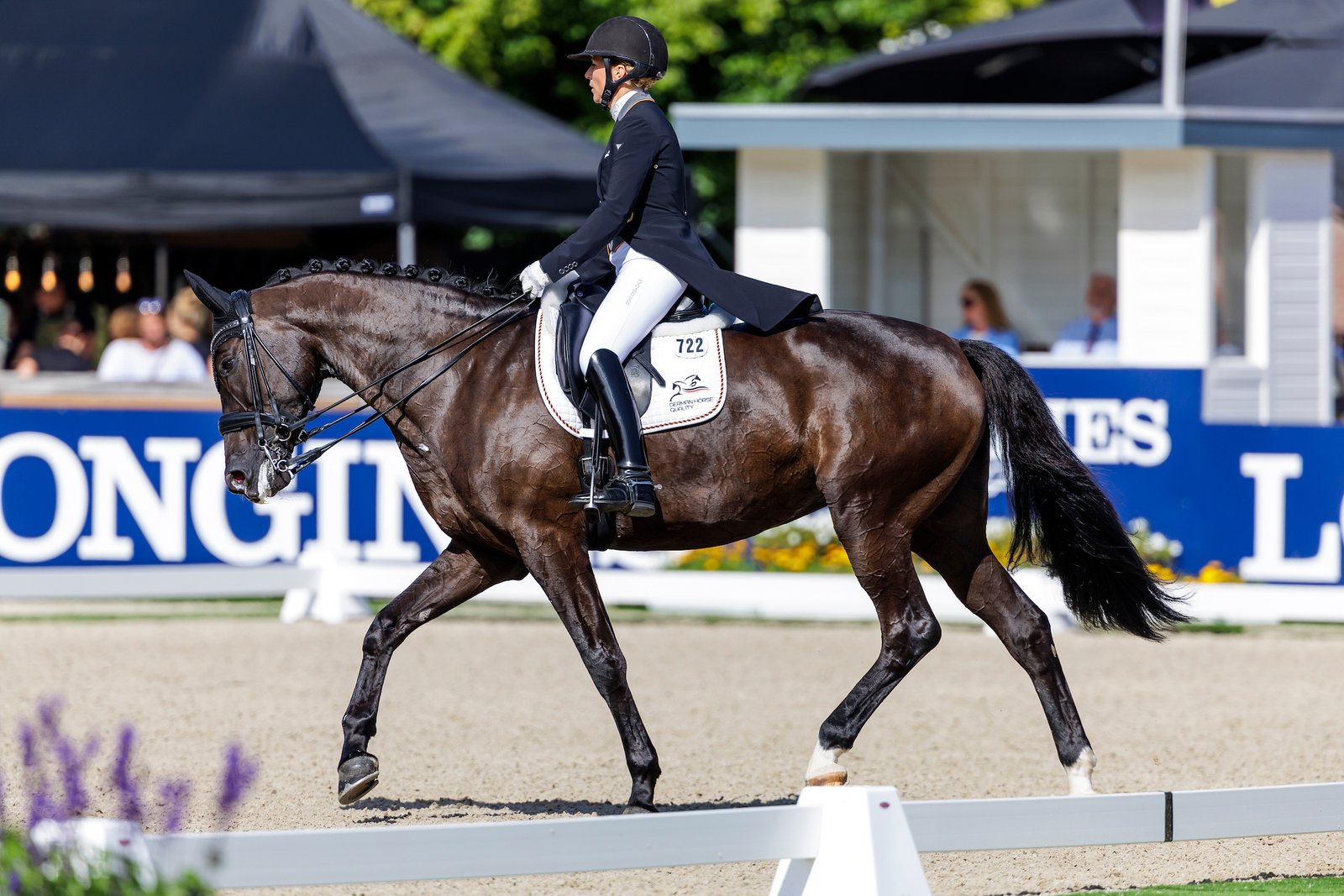 Allowing the horse to chew on the reins in Grand Prix competitions will be permitted starting in January 2027. In young horse competitions—such as here at the World Championships for seven-year-olds—it is already standard practice.
Photo: Archive, Sportfotos-lafrentz.de