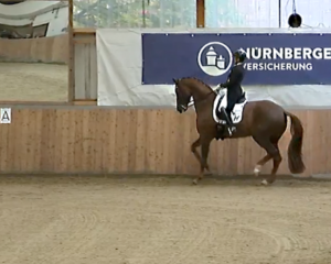 Isabell Werth siegt mit Back for Good in Einlaufprüfung zur letzten Louisdor Preis Qualifikation in Guxhagen