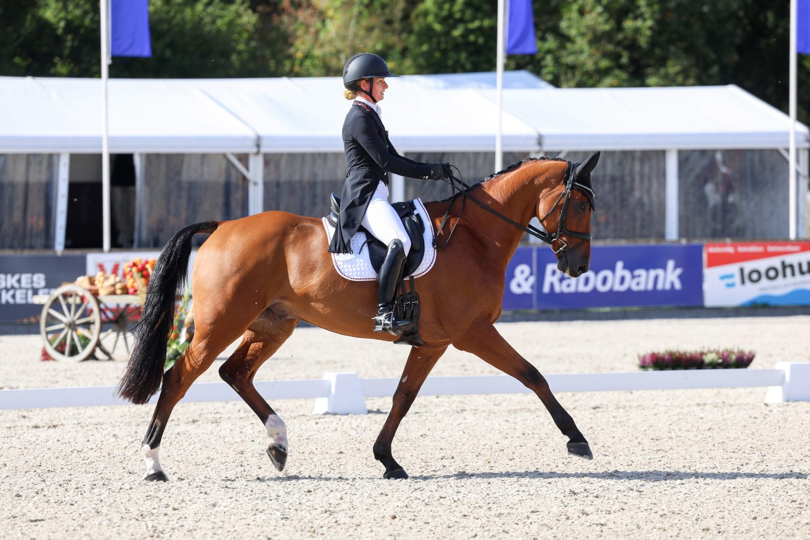Julia Krajewski and Ero de Cantraie head into the cross-country course in Boekelo as the leaders after the dressage. Photo: Ashley Claus