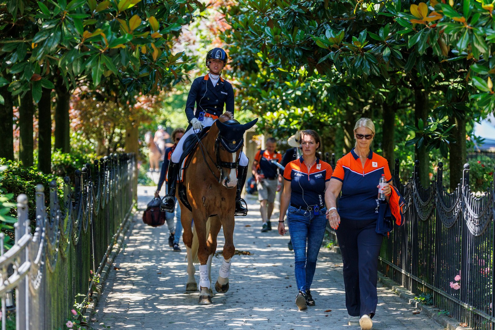 Trainer-Exodus in den Niederlanden