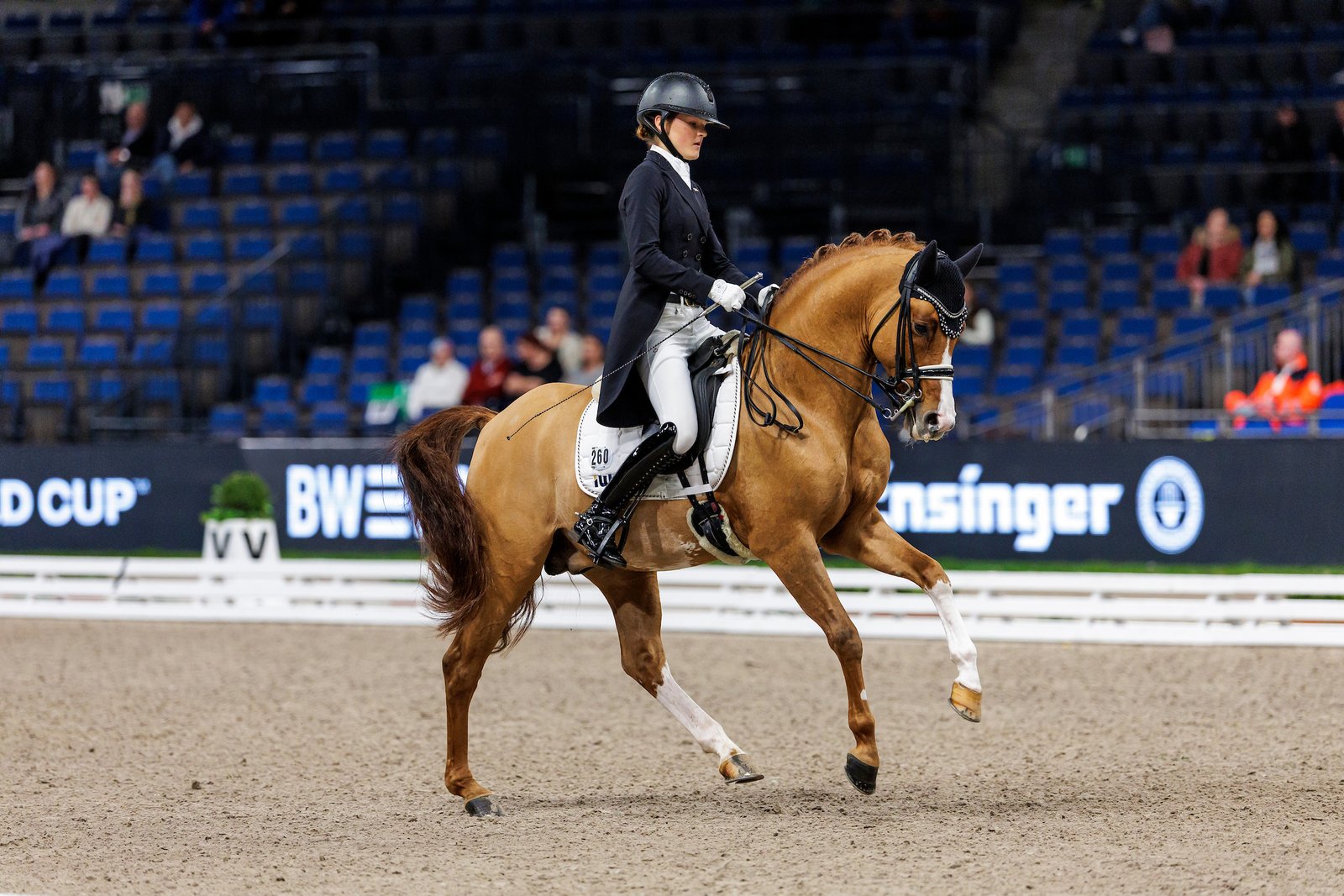 Ann-Cathrin Rieg und Steendieks Derrick beim iWest Cup in Stuttgart. Foto: sportfotos-lafrentz.de