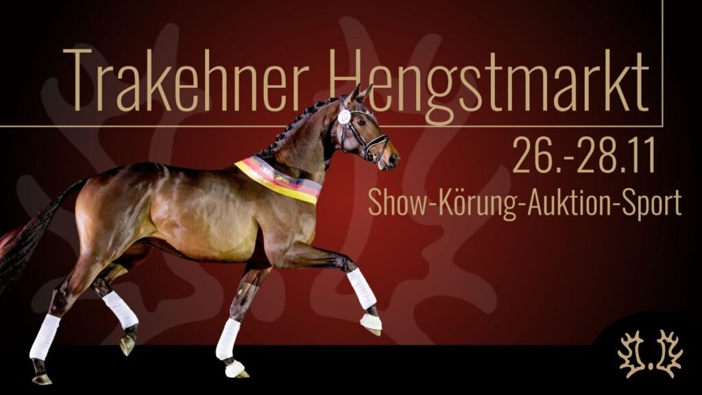 Trakehner Hengstmarkt 2026. Foto:Trakehner Verband