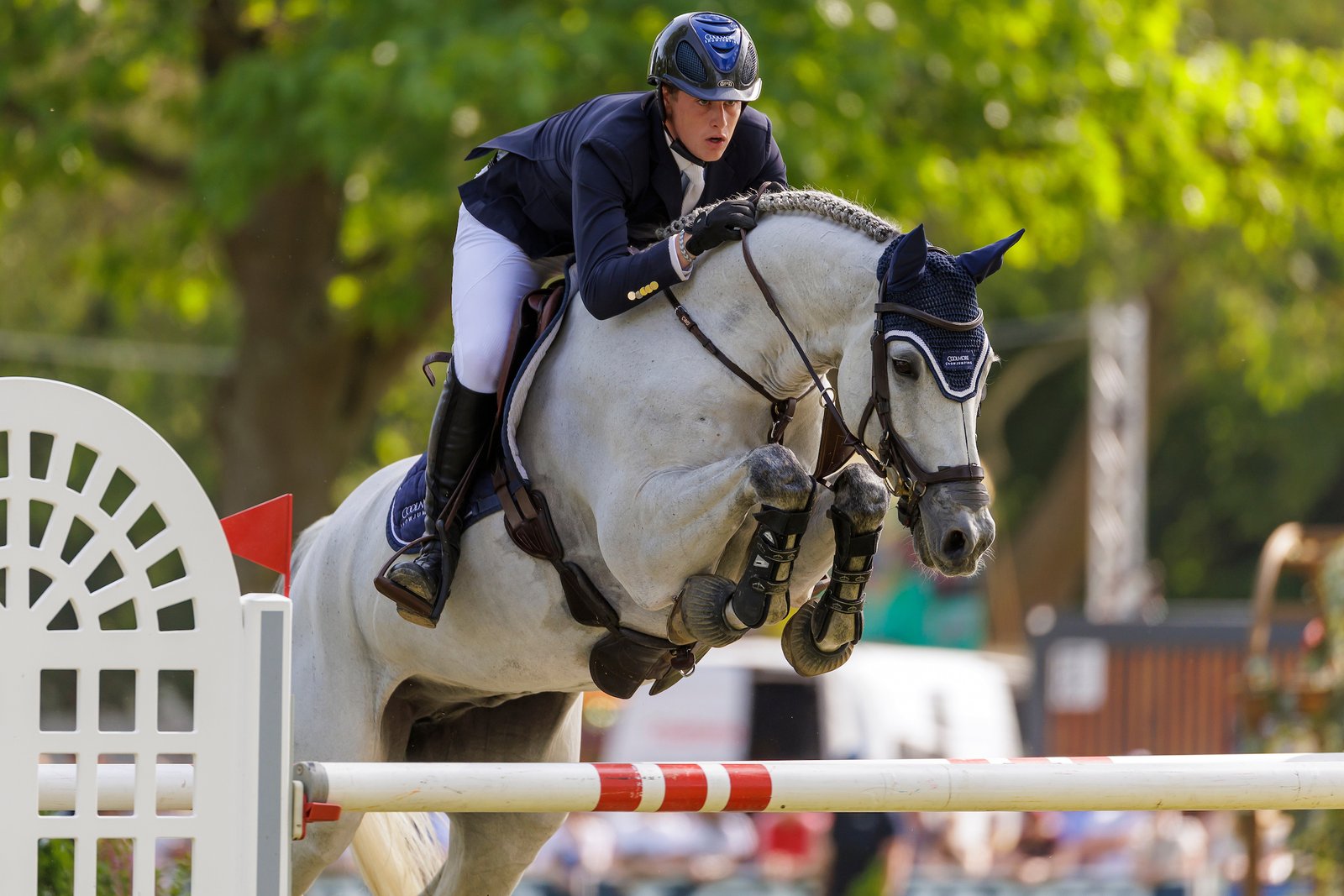 Max Wachman, hier mit Kilkenny im Großen Preis von Wiesbaden, wo er schon zweimal unter den Top drei landete.
Foto: sportfotos-lafrentz.de