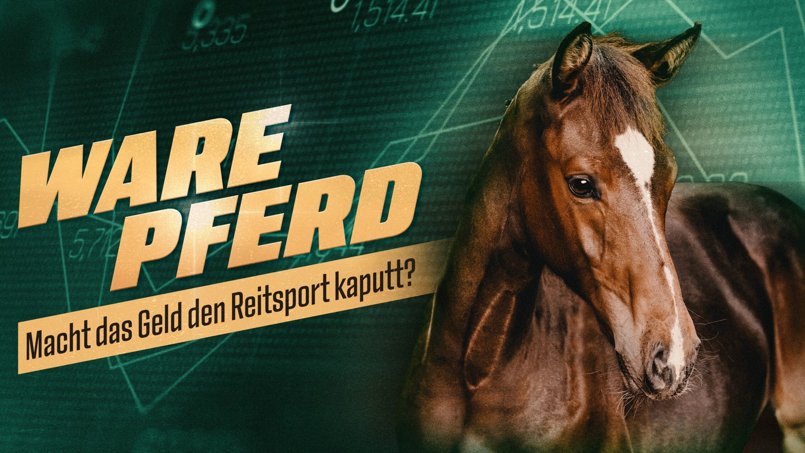 NDR Film „Ware Pferd“ fragt: „Macht das Geld den Reitsport kaputt?“ Foto: NDR