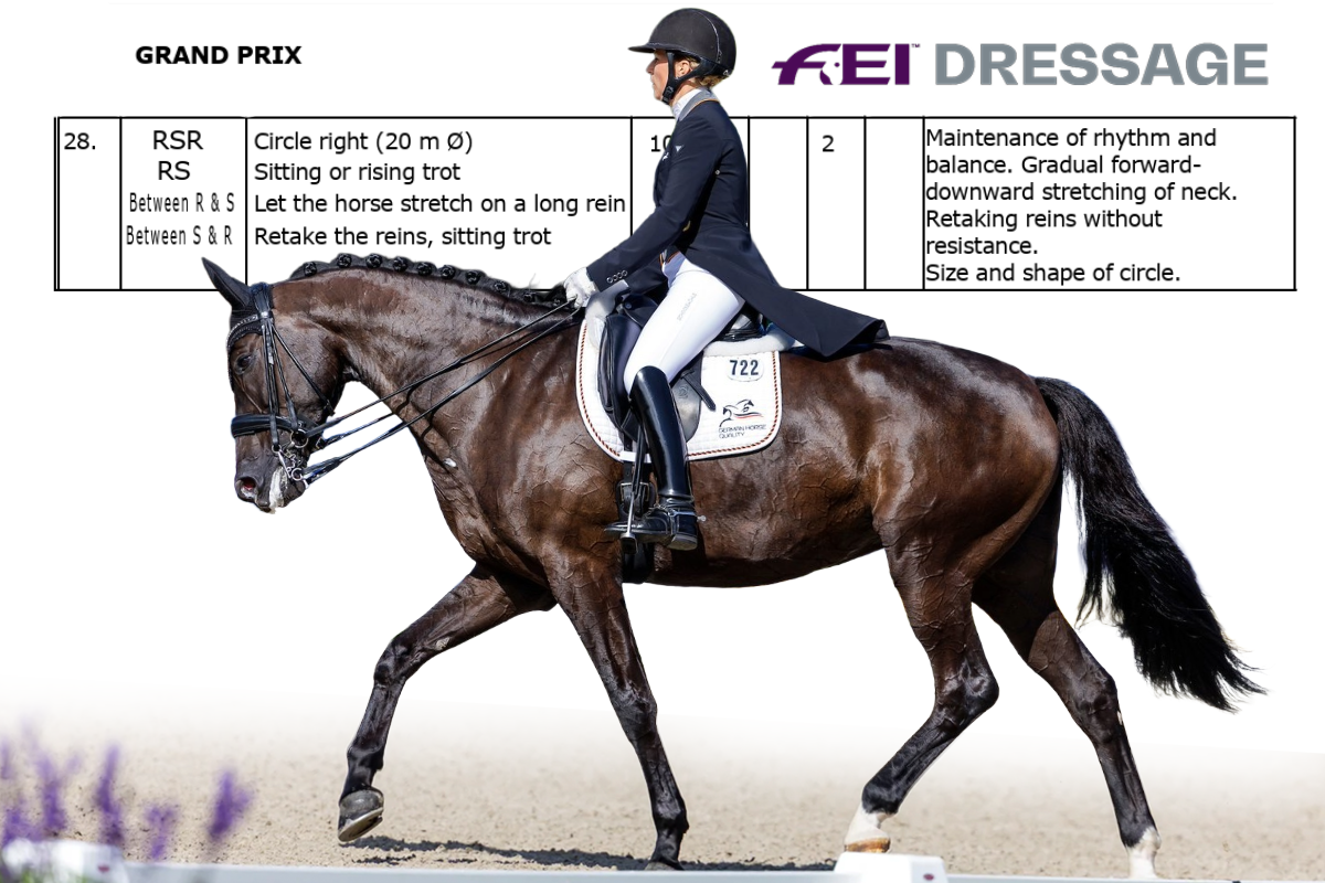 Zügel-aus-der-Hand-kauen-lassen im Grand Prix – Stimmen der Dressurwelt