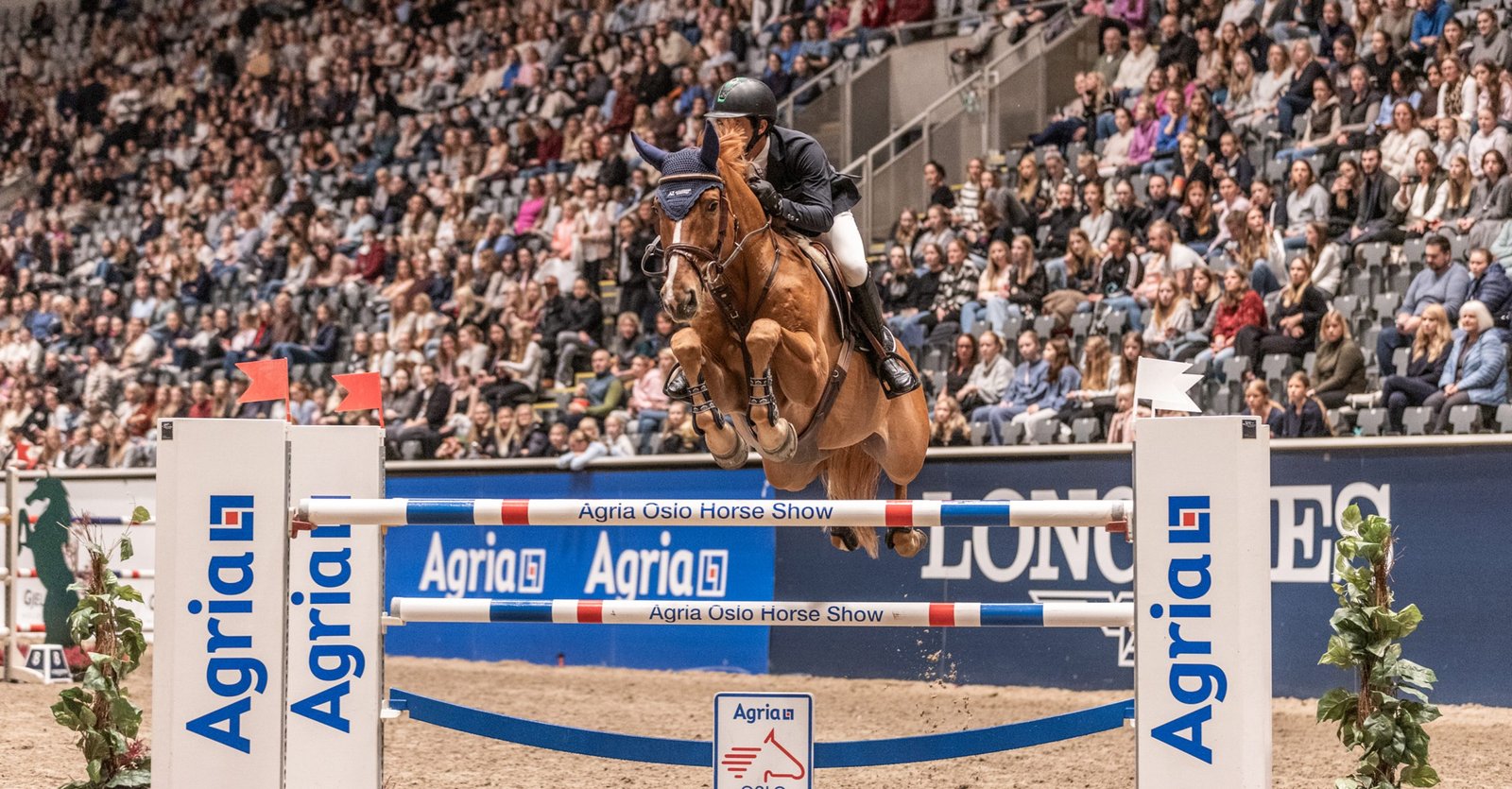 EQUI PAGES Sportvorschau, 7. bis 11. Oktober 2026 – Weltcup in Oslo, Dressur in Guxhagen-Dörnhagen